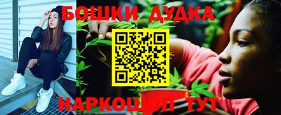 СК Пугачёв