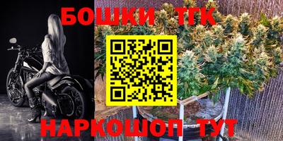 СК Пугачёв
