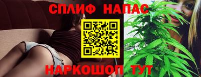 СК Пугачёв