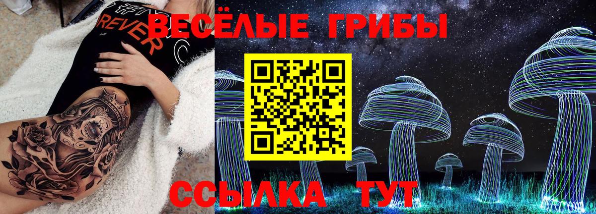 Псилоцибиновые грибы мицелий  Галлюциногенные грибы прущие грибы  Вход с VPN  Славянск-на-Кубани 